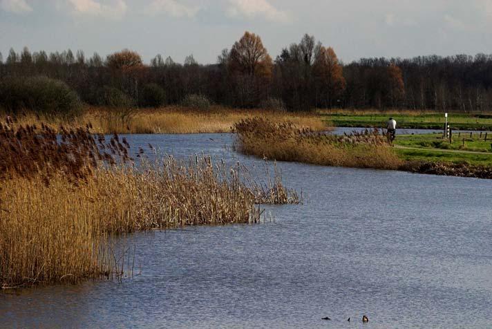 slechts in de oogsttijd voedsel kan vinden. Via zogenaamde migratieroutes (wissels) verplaatsen dassen zich van hun burchten naar hun voedselgebieden.