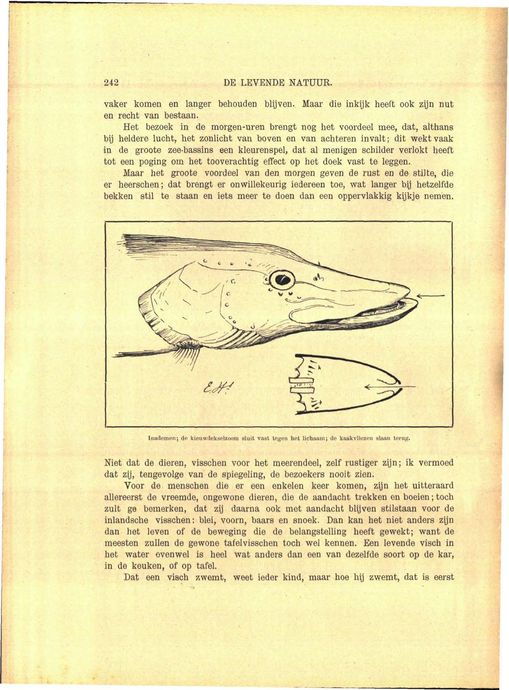 242 DE LEVENDE NATUUR. vaker komen en langer behouden blijven. Maar die inkijk heeft ook zijn nut en recht van bestaan.