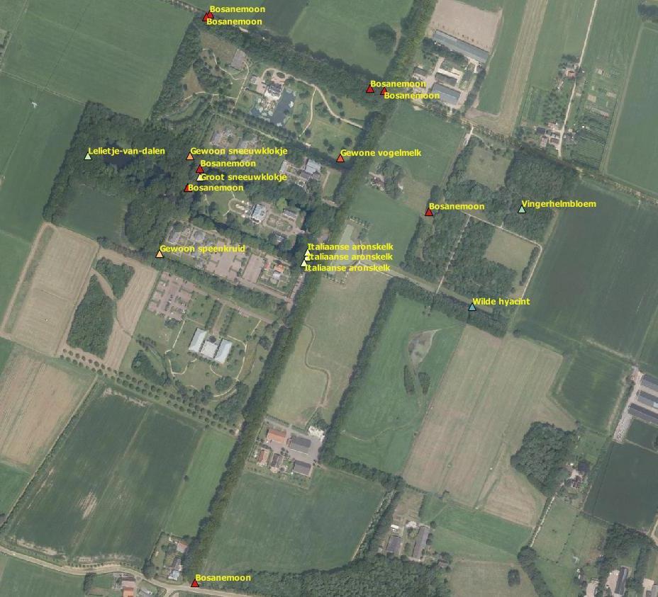 worden geplukt. Groeiplaatsen mogen alleen worden aangetast als er een goed mitigatieplan is opgesteld en blijkt dat de gunstige staat van instandhouding niet in het geding is. 5.4.