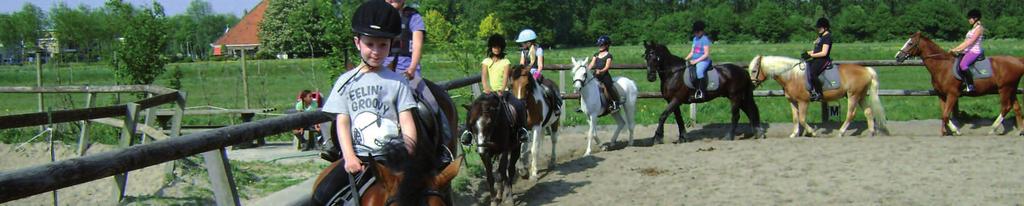 PAARDRIJDEN In deze lessen leer je de beginselen van het paardrijden en de verzorging. Bij Manege Purmerbos leer je verantwoord paardrijden onder begeleiding van gediplomeerde instructeurs.