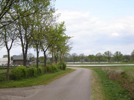 Deze haag zal met een keer per jaar knippen beheerd worden en een hoogte hebben van 1,20 meter. Hierin staan op onderlinge afstand van 10 meter de opgaande Zilverlindes (Tilia tomentosa Brabant ).