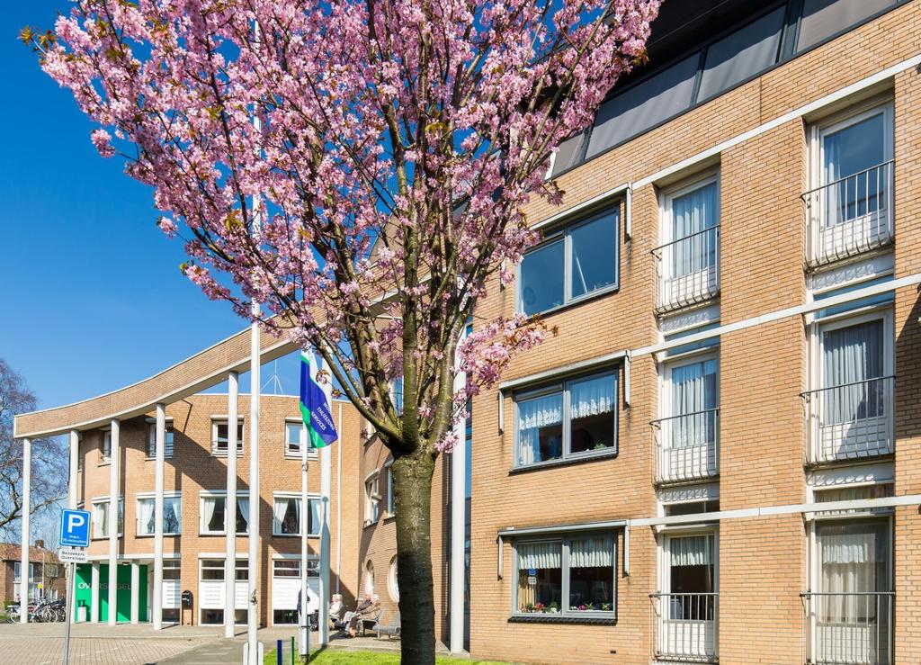 Tegelijkertijd is de vraag van senioren zeer gedifferentieerd. Een kleine groep ouderen is heel bewust op zoek naar een nultredenwoning of een woning met zorg in de buurt.