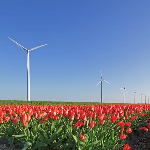 windmolentestpark van Europa (30MW) Zonneweide met diverse