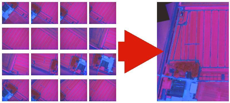 Figuur 10: Samenvoegen van de individuele beelden tot 1 mozaïek De geometrische correctie gebeurt aan de hand van fotogrammetrische software die specifiek gemaakt is voor de verwerking van UAV