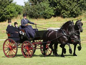 Mennen en ringsteken Mennen is een nauwkeurig samenspel van man, paard en wagen.