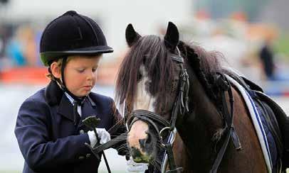 Bixie show en dressuurproef door pony viertal Landelijke Rijvereniging, Ponyclub en