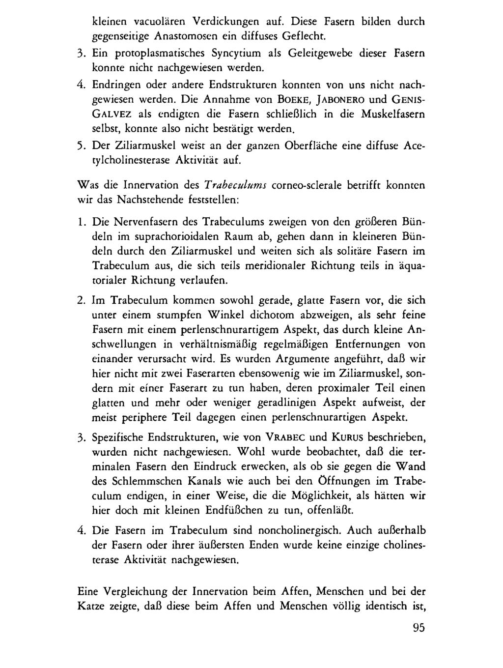 kleinen vacuolären Verdickungen auf. Diese Fasern bilden durch gegenseitige Anastomosen ein diffuses Geflecht. 3.