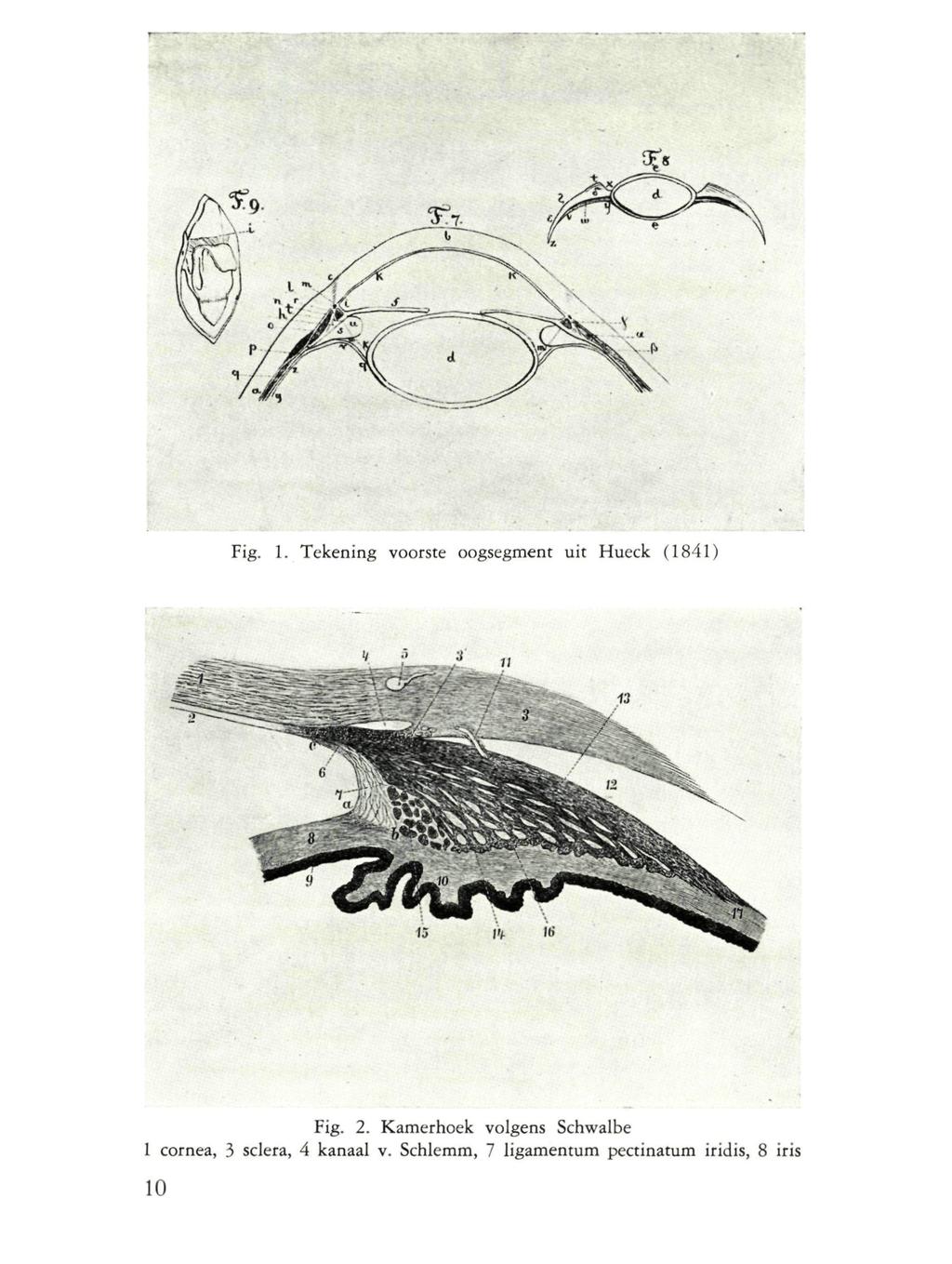 Fig. 1. Tekening voorste oogsegment uit Hueck (1841) Fig. 2.