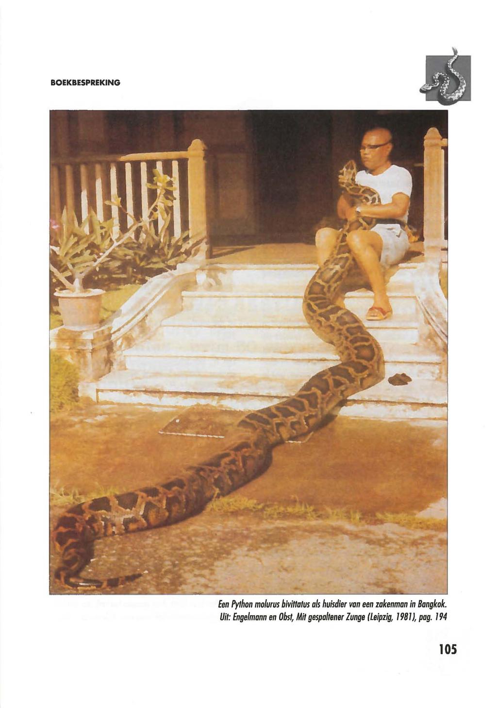 BOEKBESPREKING Een Python molurus biviffatus als huisdier van een zakenman in