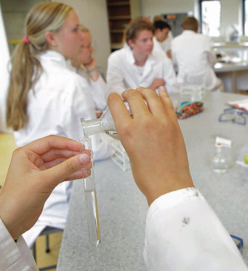 TOPklassen Bijzonder aan onze school is dat een leerling in gewone lestijd meedoet aan TOPklassen.