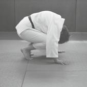 Judo is één van deze sporten en betekent vrij vertaald «de zachte weg».