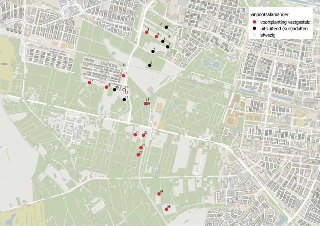 Amfibieën in de verbindingszone Kaaistoep Drijflanen in Tilburg 20