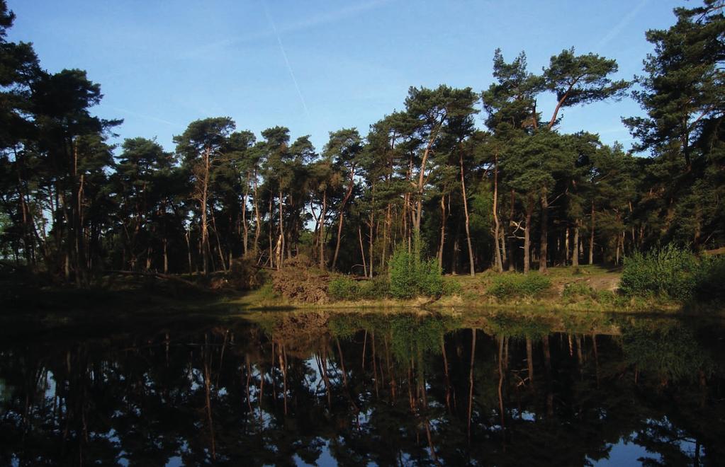 Het bepalen van de droge depositiesnelheid is onder meer gebeurd boven de Veluwse bossen. 15 te vangen). Wanneer het regent, gaat de deksel open en is het droog dan gaat de deksel weer dicht.