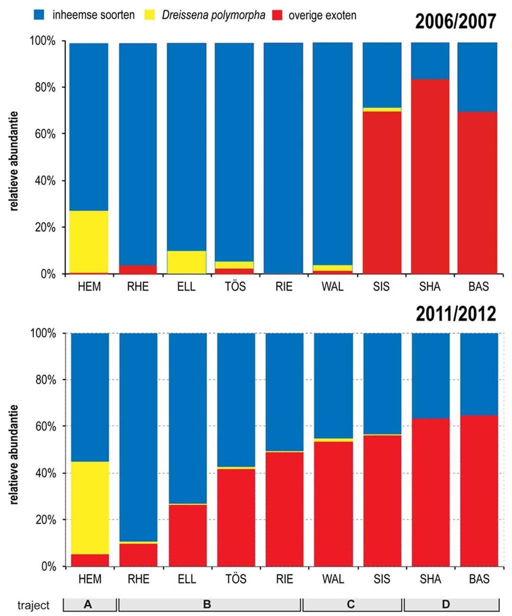 Figuur 4: Populatiedichtheid van het macrozoöbenthos op de bedding van de Hoogrijn in 2011/2012. Vergelijking met de resultaten van de campagne 2006/2007.