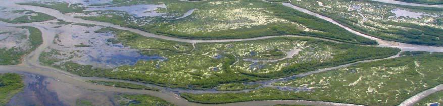 83 Deze ontstaan vanuit regelmatige oeverwaldoorbraken bij hoog water. De crevassegeulen worden uiteindelijk opgevuld met zand en afgedekt door oeverwalafzettingen.