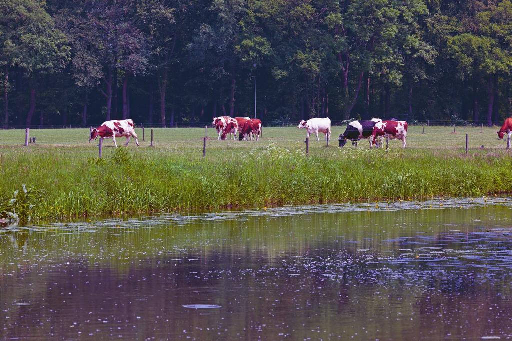 8 Agrarische nieuwsbrief 9 Agrarische nieuwsbrief Marc Balemans, DAW-coördinator voor Gelderland, mbalemans@ltonoord.nl Noen Lambers, DAW-coördinator voor Utrecht-Oost, nlambers@projectenltonoord.