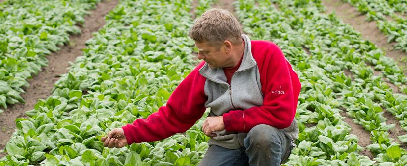 FEITEN EN CIJFERS 1 Demeter land- en tuinbouw in Nederland en Vlaanderen Bij Stichting Demeter zijn zowel bedrijven in Nederland als in Vlaanderen aangesloten.