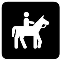 1.7 Paardrijden Paardrijden is toegestaan met een heupprothese, mits u ervaring heeft.