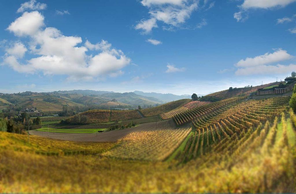 Zaterdag 11 November PIEMONTE SPECIAL BAROLO BARBERA