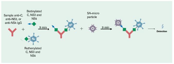 APPRAISAL ACHTERGROND BIJ DE KWALITATIEVE INFECTIEUZE SEROLOGISCHE TESTEN In het AZ Groeninge worden de testen van de infectieuze serologie op Cobas 6000 e601 (Roche) bepaald.