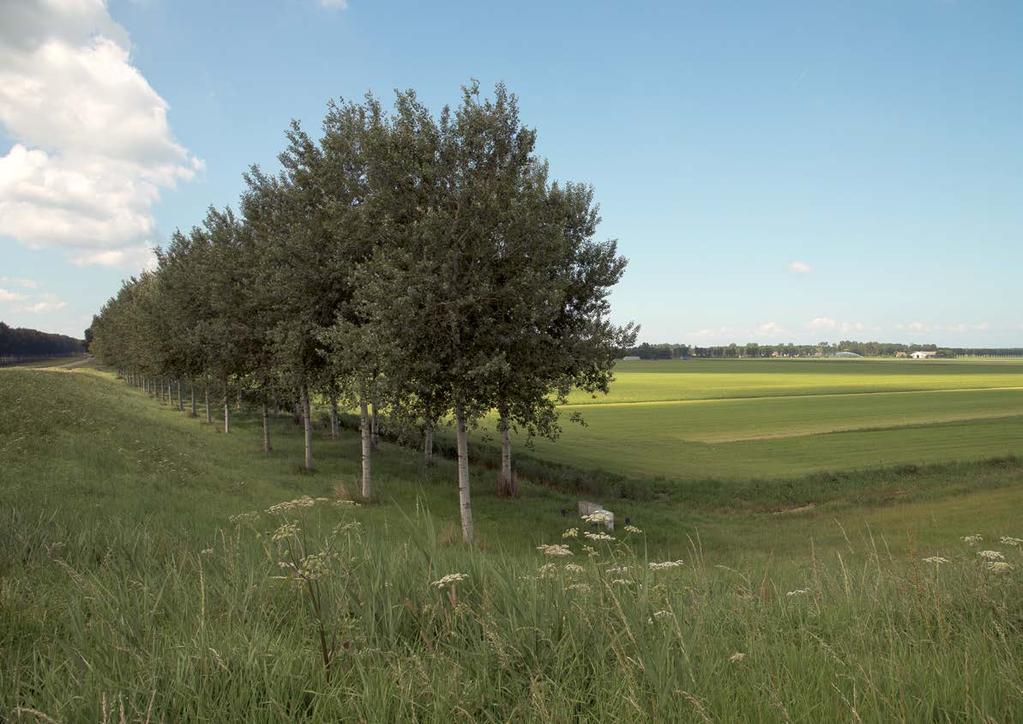 Onderzoeken faseren in Oosterwold gemeente Almere Oosterwold is een gebied van 4300 ha landbouwgebied tussen Almere en Zeewolde.