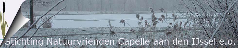 winterwaarnemingen van bijzondere vogels in Capelle.