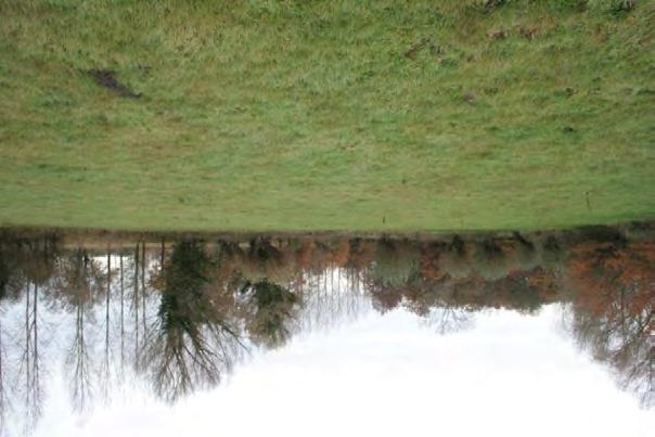 Natuurwaarden De genoemde percelen vormen een onderdeel van het Natuurnetwerk Brabant (NNB) en zijn met name in het noorden en oosten reeds omgeven door percelen met natuurbestemming.