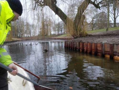 - Sportvisserijtypen, waarden en knelpunten - Het waterpeil in de Frans van Mierisplantsoen