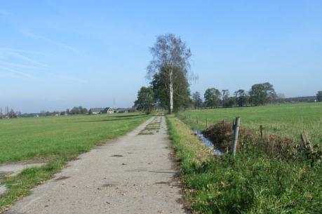 Deze dubbele rij bomen loopt door tot aan het nieuwe woonerf met hofje en moestuin. De rij aan de noordzijde wordt doorgetrokken tot aan het eind van het uit te geven perceel met landschapstuin.