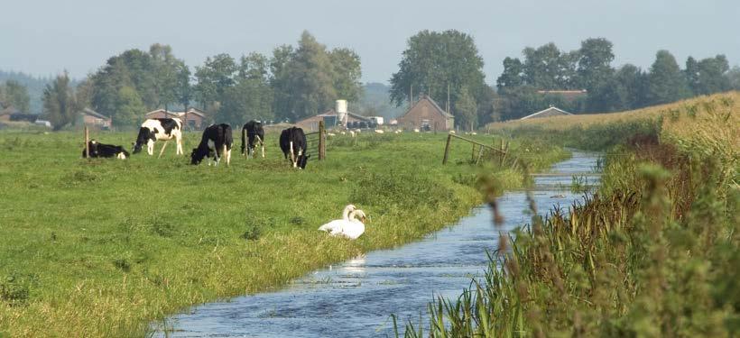 jaargang 7, nr 3 december 2014 LMMnieuws December 2014 Landelijk Meetnet effecten Mestbeleid In dit nummer o.a. 2 Interview met Henk en Willem Huijing 4 Normen in de briefrapportage waterkwaliteit 5