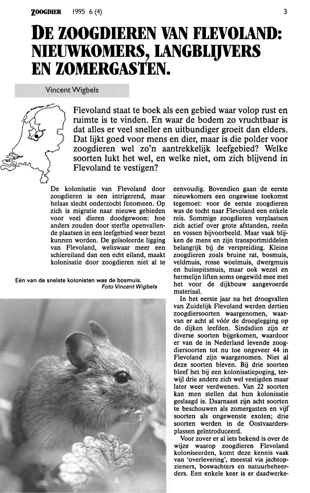 ZOOGDIER 1995 6 (4) 3 De zoogdier Flevoland: nieuwkomers, langblijvers zomergast Vct Wigbels Flevoland staat te boek als e gebied waar volop rust ruimte is te vn.