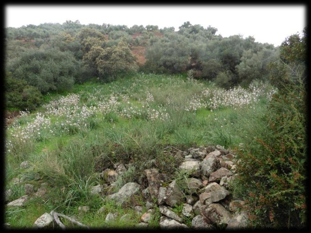 De dam van het Embalse Del Rio Yeguas werd