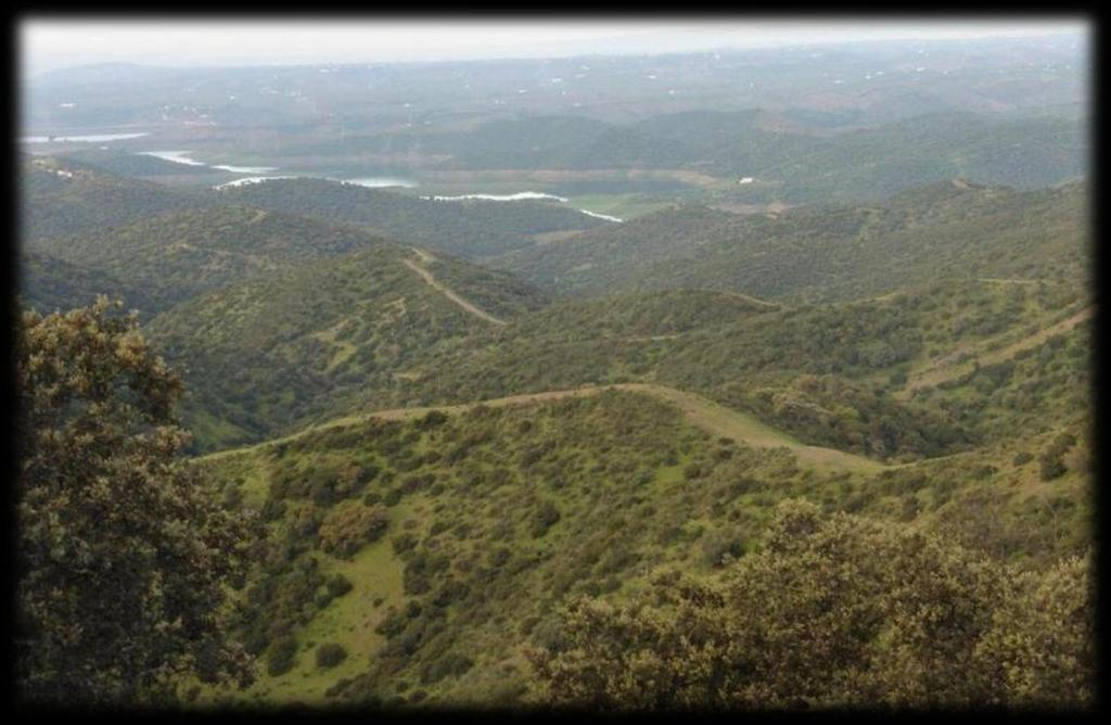 Vandaag doorkruisen we het natuurpark Sierra de Cardeña y Montoro. Het heeft een oppervlakte van meer dan 40.