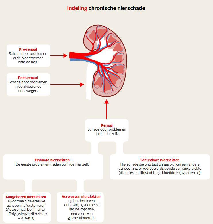 (Figuur 3: indeling chronische nierschade.