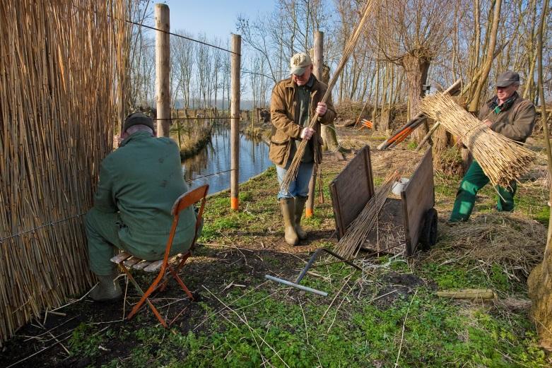 Stichting Duinbehoud De Groene Motor burgerinitiatieven stimuleren Met de beleidsuitwerking De Groene Motor (2013) is het onderdeel groenparticipatie van de beleidsvisie Groen nader uitwerkt.