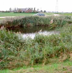 Voor het oplossen van dit soort knelpunten is het een goede aanpak om een kleine werkgroep te vormen van agrariërs, de beleidsmedewerker en bestekplanner van het waterschap en aannemers en