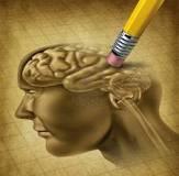 Dementie Hersenen op te delen in twee onderdelen: BOVEN BREIN ---------------- ONDER BREIN
