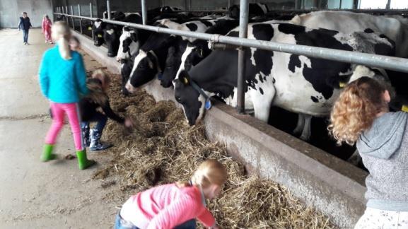 We willen de familie Bosma nogmaals bedanken voor hun gastvrijheid en natuurlijk de ouders die ons gebracht en gehaald hebben.