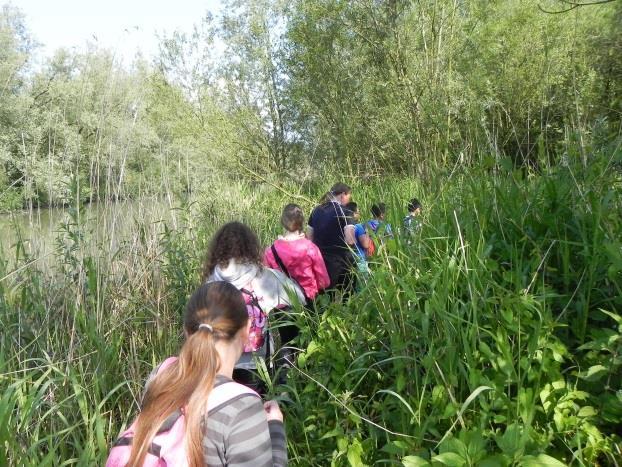 pauze houden. Daarna gingen we even naar binnen waar ze gingen uitleggen wat we gingen doen en hoe de bever eruit zag en hoe die leeft. En ook mochten we echte beverhuid, tanden enz. aanraken.