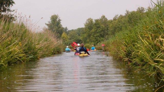 Het eerste deel van de tocht leidde ons door kronkelende slootjes vol waterlelies en gele plomp, langs roofvogels en een futengezinnetje, naar Nieuwkoop.