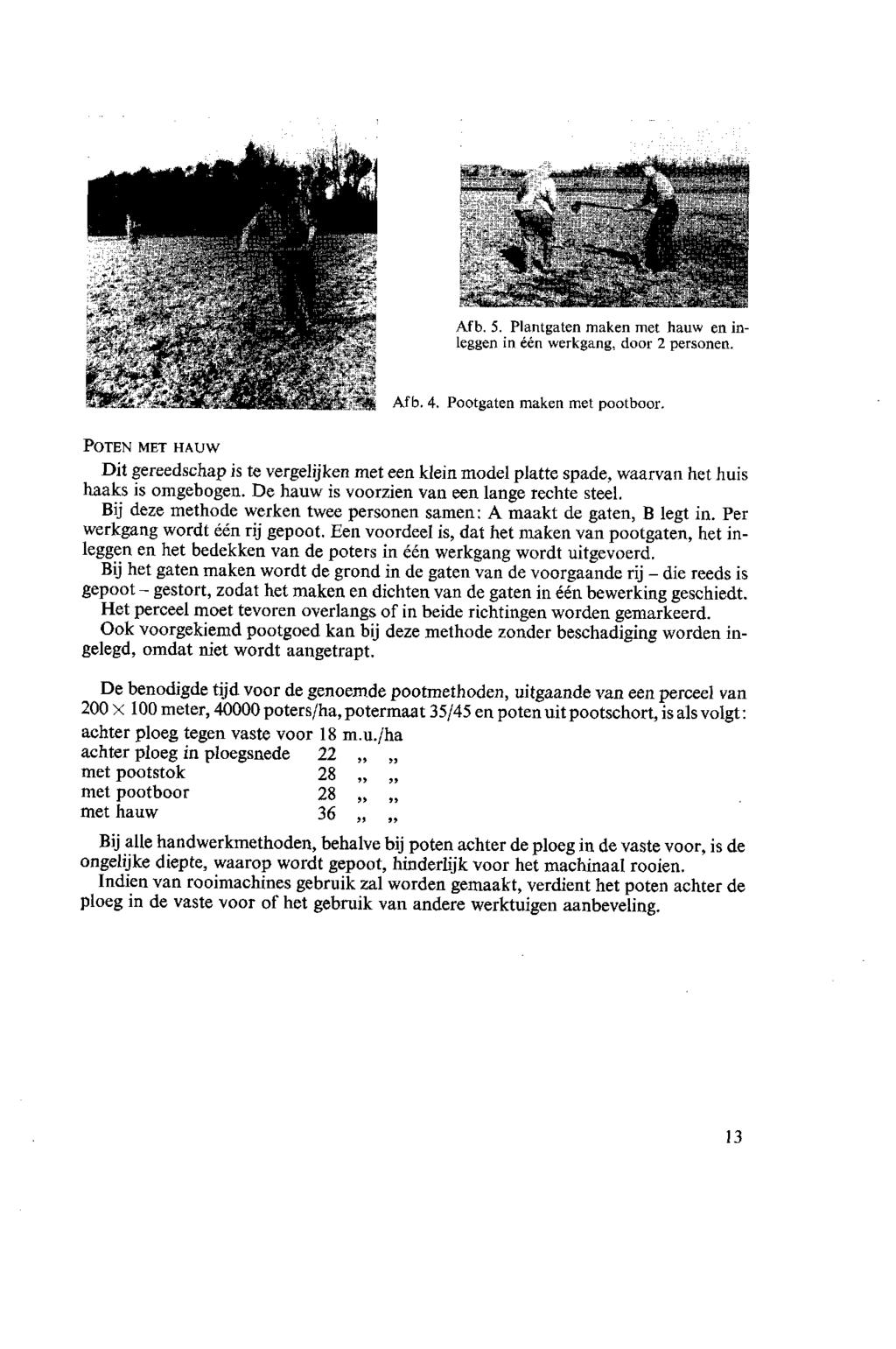 ~"s~- ' '"r^vttsi" ' " - Afb. 5. Plantgaten maken met hauw en in- -# î ". ;^!, '- F\*t^"'_Jr*T?l " leggen in één werkgang, door 2 personen. Afb. 4. Pootgaten maken met pootboor.