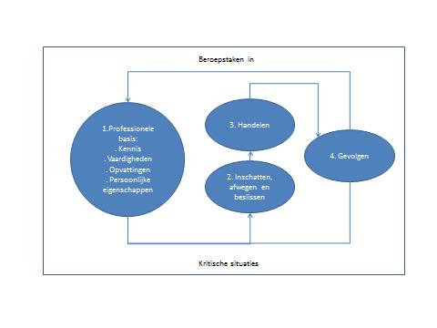 Het proces van professioneel handelen is beschreven door Roelofs en Sanders (2003) en is schematisch als volgt.