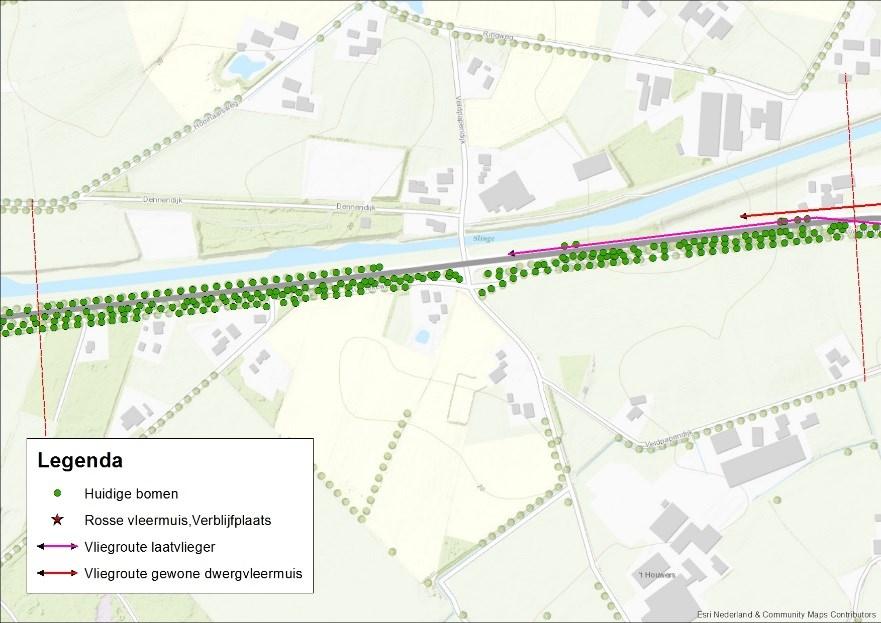 de parallelweg, kan de vliegroute behouden blijven. Ter hoogte van de verblijfplaats mag geen extra verlichting worden aangebracht. onderzoeksresultaten natuurtoets Compartiment P D.