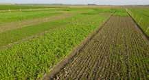 producten van de toeleverende, afnemende en ondersteunende industrie in de landbouw Lagere uitstoot van broeikasgassen Meer opslag van koolstof in de bodem Schoon water