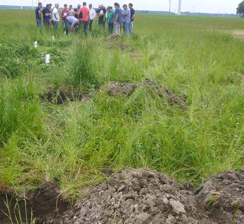 BASIS: De bodem, grond voor voedsel Het onderzoeksproject BASIS laat zien dat het niet meer ploegen van de grond in combinatie met een teeltsysteem met vaste rijpaden voor de meeste gewassen
