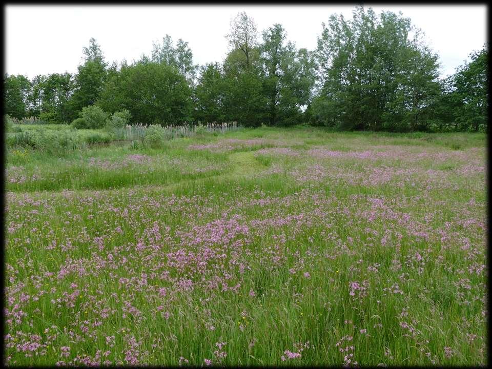 Sinusbeheer symposium