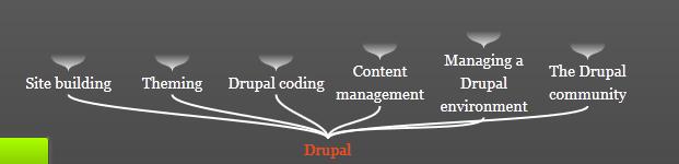 1.3. Drupal vacatures Er zijn té weinig mensen en talenten om het gehele webgebeuren te bedienen met Drupal. Vandaar dat sterk wordt aangedrongen om meer mensen op te leiden.