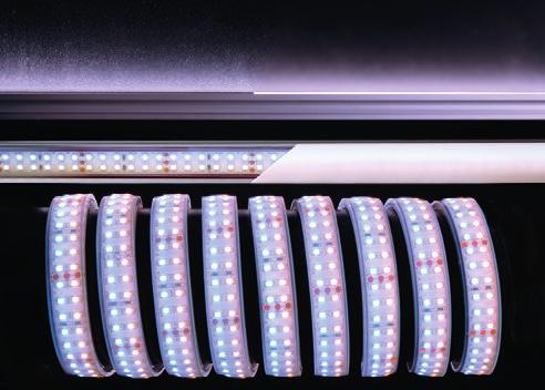 555 LED rows 1 LED type SMD 5050 incl.