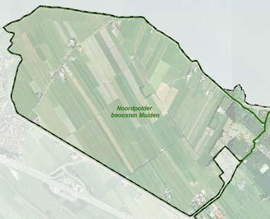 4 Noordpolder beoosten Muiden (NBM) 4.1 Algemeen De Noordpolder beoosten Muiden (NBM) is de meest noordwestelijk gelegen polder in het plangebied. Het oppervlak van de polder bedraagt ca. 380 ha.