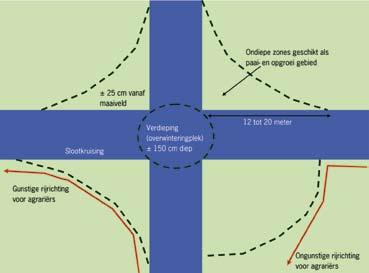 s Kleine modderkruiper Slootkruisingen In polders kom je veel zogenaamde slootkruisingen of T-splitsingen tegen. Plekken waar vaak kansen liggen voor de ecologie.